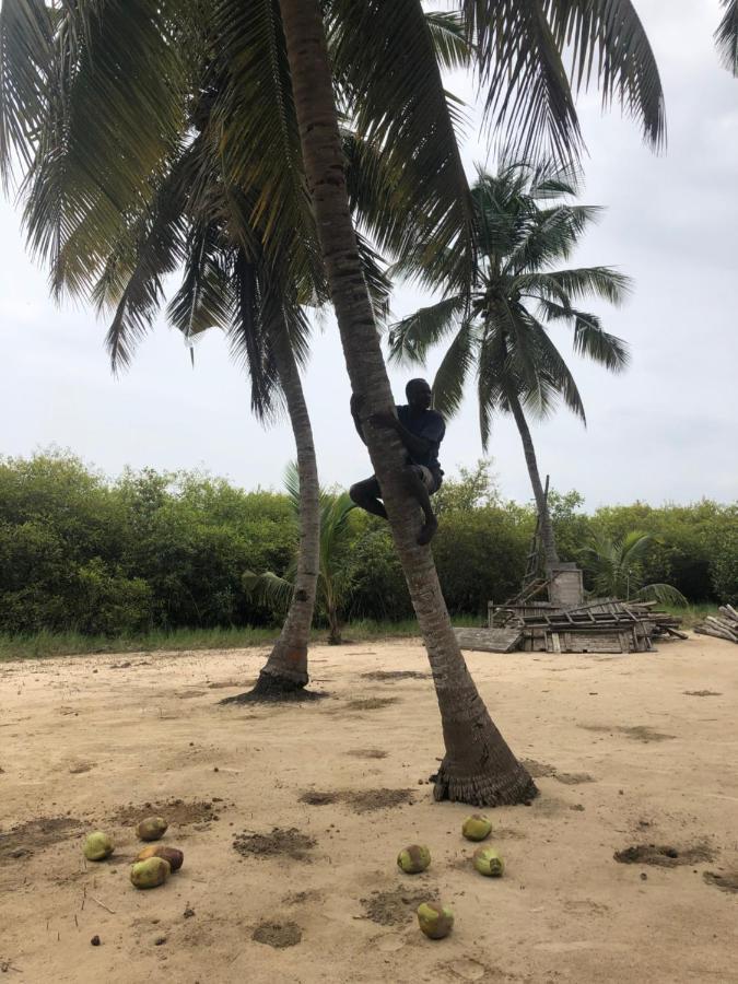 Natura Luxury Lodge Ouidah Eksteriør billede